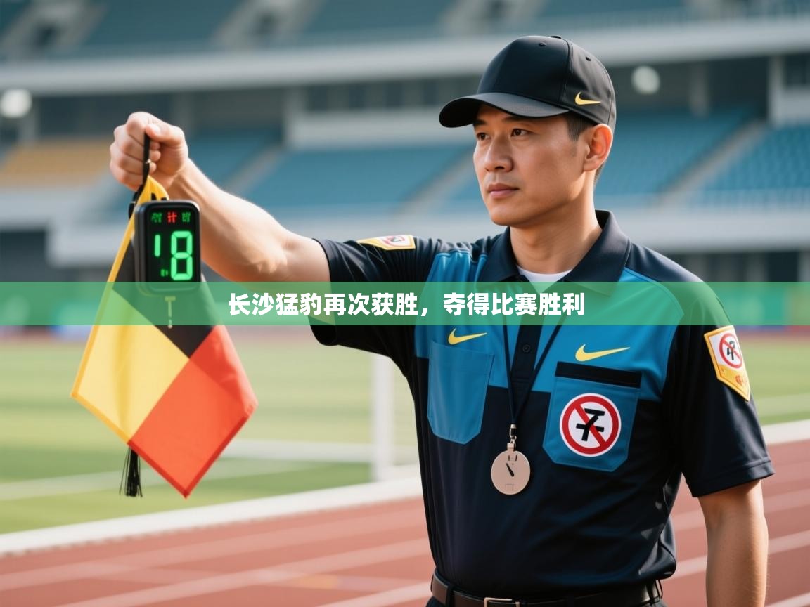 长沙猛豹再次获胜,夺得比赛胜利 第1张