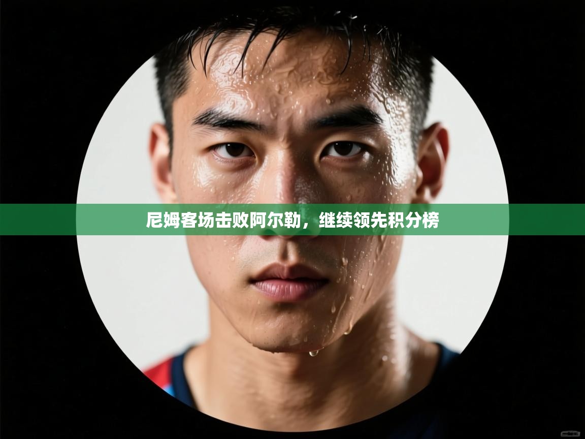 尼姆客场击败阿尔勒，继续领先积分榜