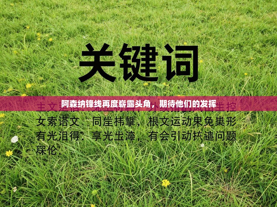 阿森纳锋线再度崭露头角，期待他们的发挥  第1张