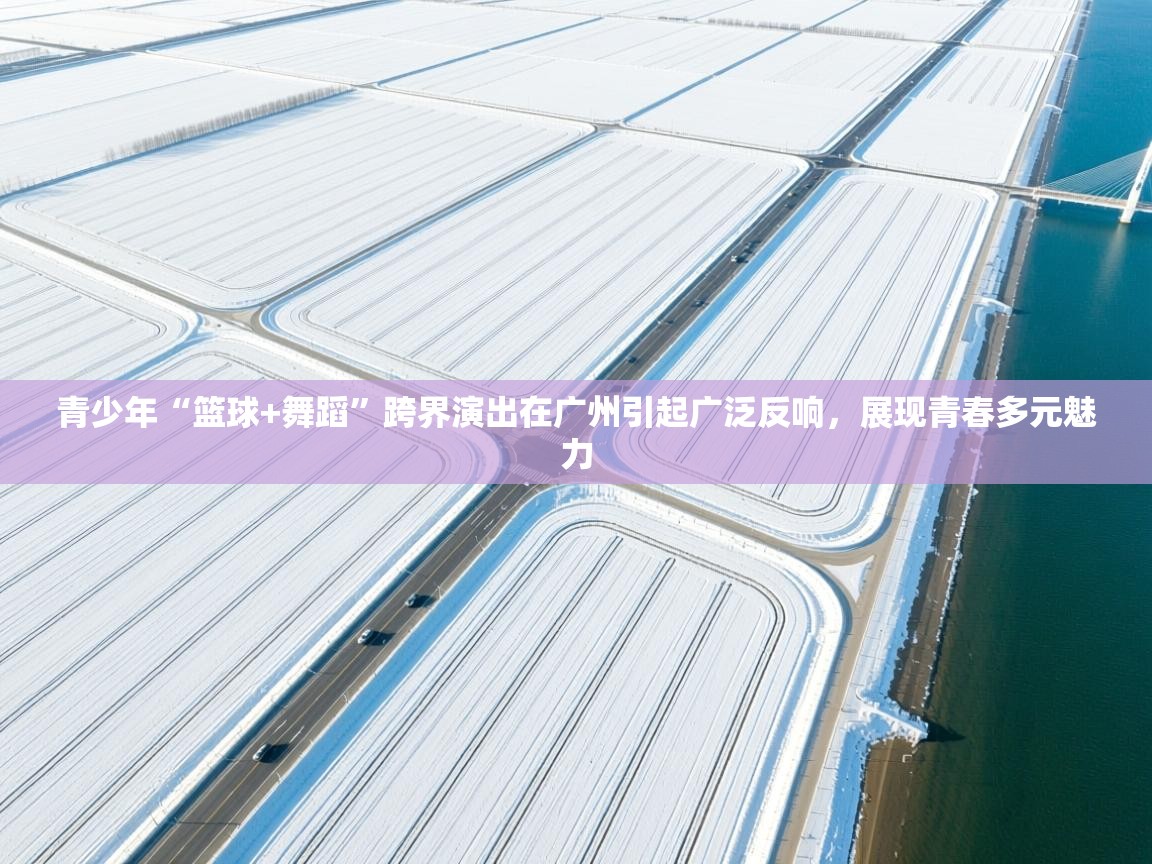 青少年“篮球+舞蹈”跨界演出在广州引起广泛反响，展现青春多元魅力